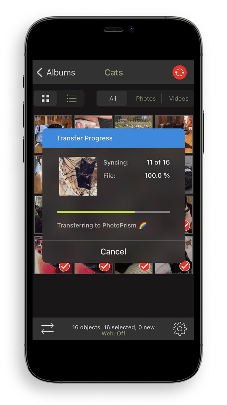 PhotoSync